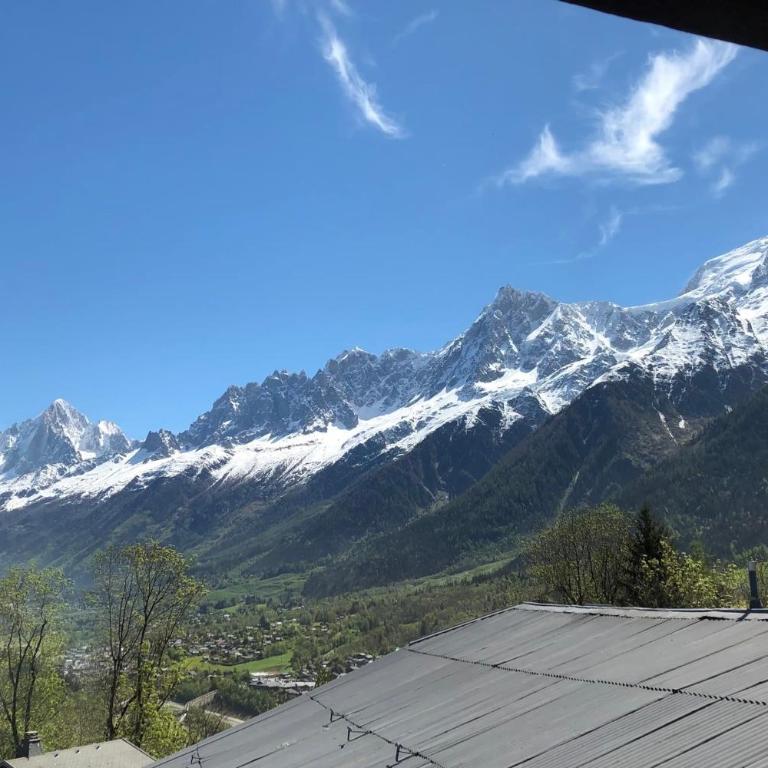 Alpine cocoon Sauna Mountain view - Apartment - 18