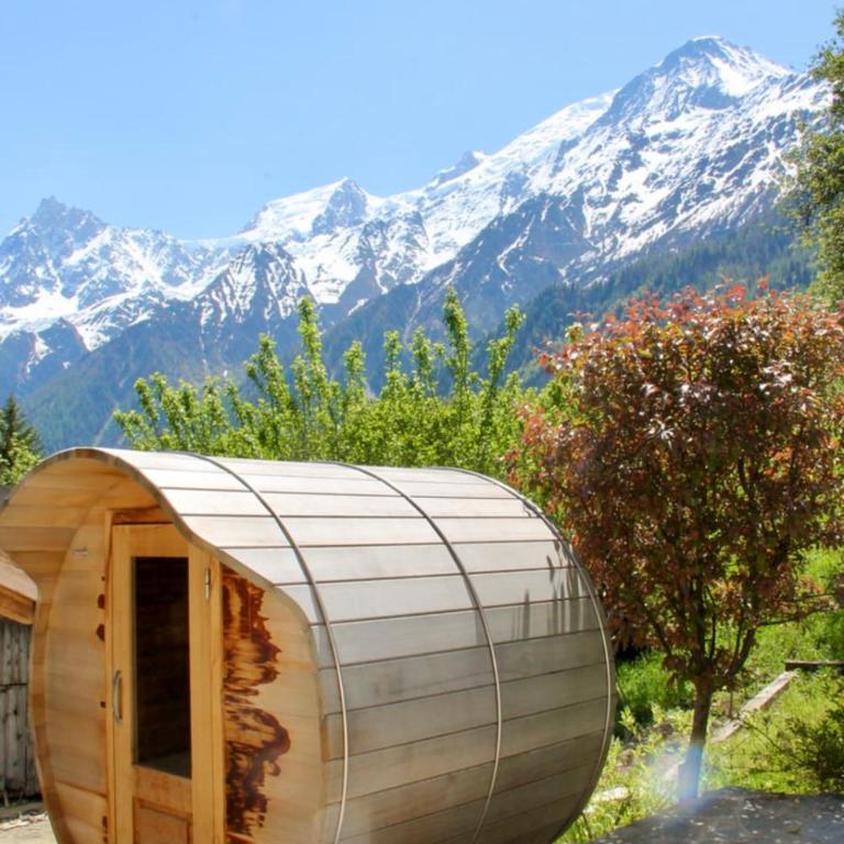 Alpine cocoon Sauna Mountain view - Apartment - 29