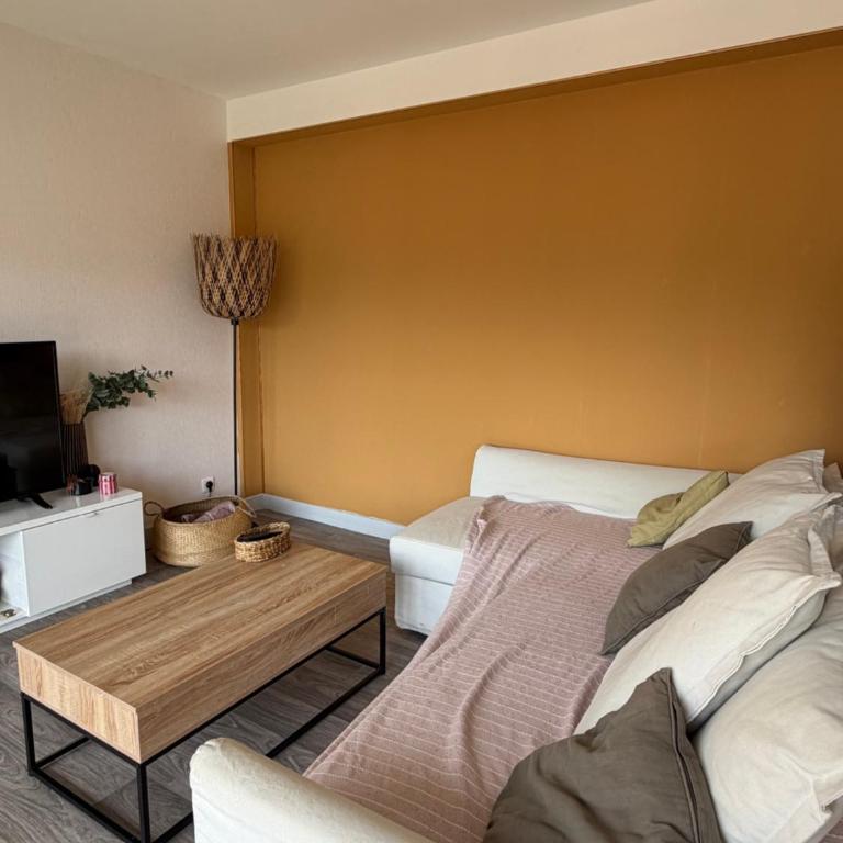 Appartement meublé à proximité des sanctuaires - Appartement 1 Chambre - 2