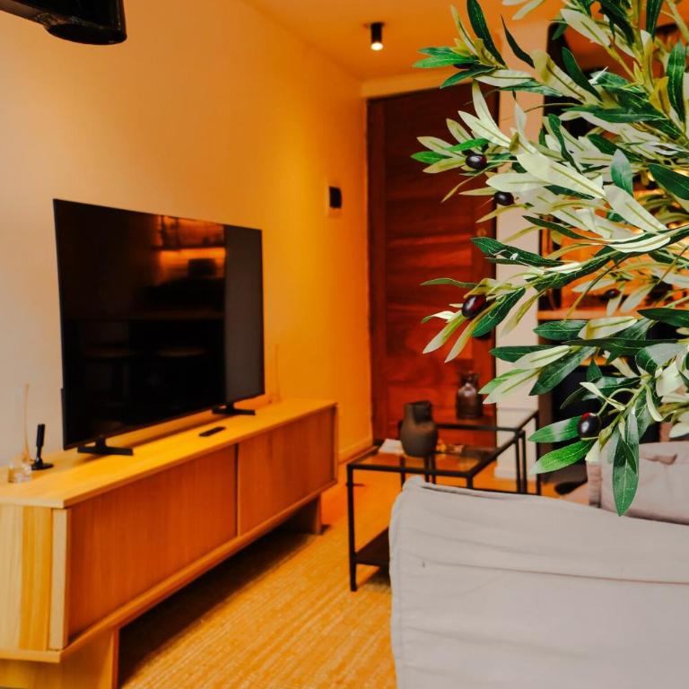 Loft Premium Remodelado Bellas Artes Lastarria - One-Bedroom Apartment - 26