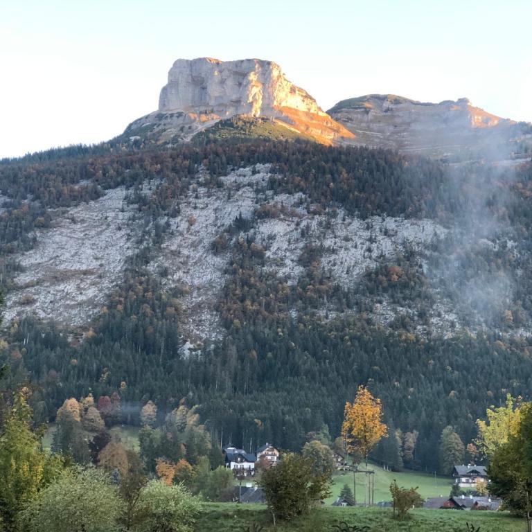 Bergblick Salzkammergut - Apartment mit 1 Schlafzimmer - 33