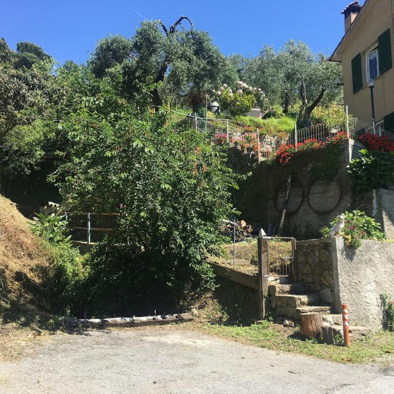 House Prïa Stella, your retreat near Cinque Terre - Casa con 1 Camera da Letto - 7