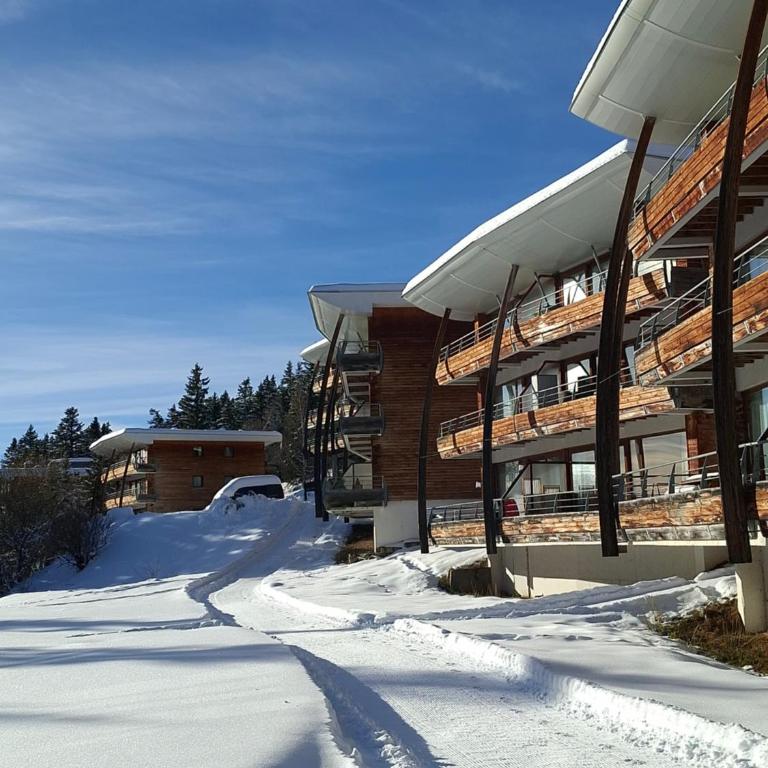 Droseras A23 avec accès piscine aux Domaines de l'Arselle à Chamrousse 1700 - Appartement 2 Chambres avec Terrasse - 1