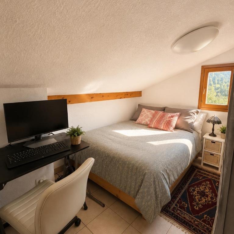 Appartement vue piste de ski - Appartement 1 Chambre - 3