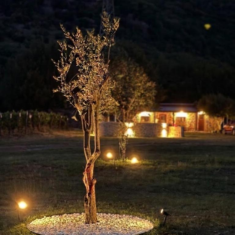 Vineyard Cottage with Mountain Views - Two-Bedroom House - 8