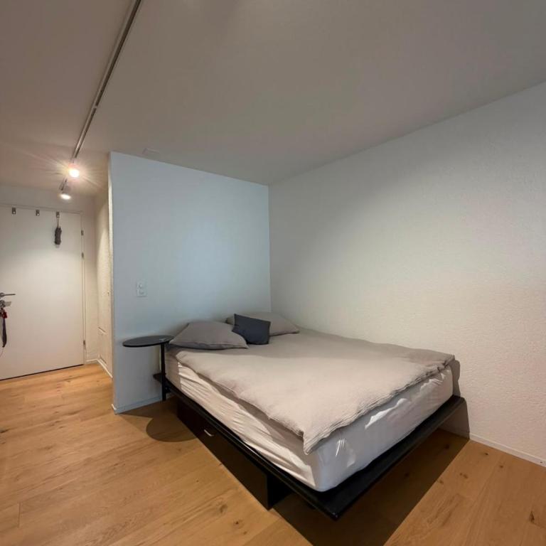 Centrally located Apartment Zermatt Familie Fiorentin - Apartment mit 1 Schlafzimmer - 6