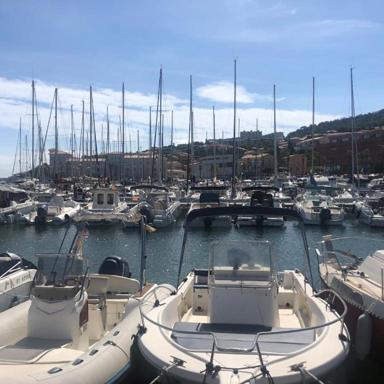 Studio avec vue mer, Plage des Elmes - Appartamento con 2 Camere da Letto - 4