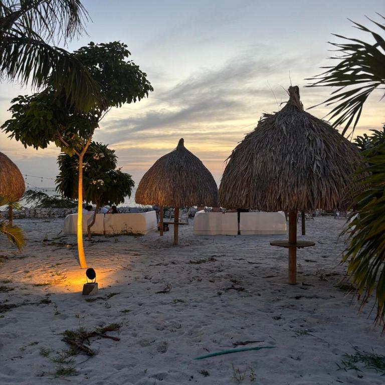 Luxury studio, playa y piscina Aluna Beach - One-Bedroom Apartment - 29