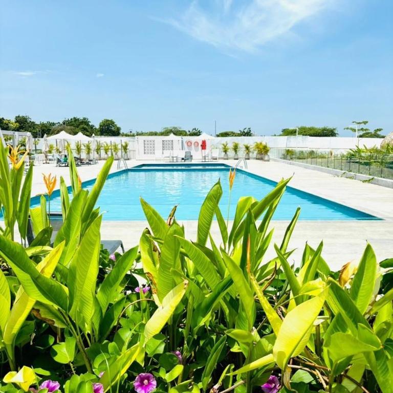 Luxury studio, playa y piscina Aluna Beach - One-Bedroom Apartment - 37