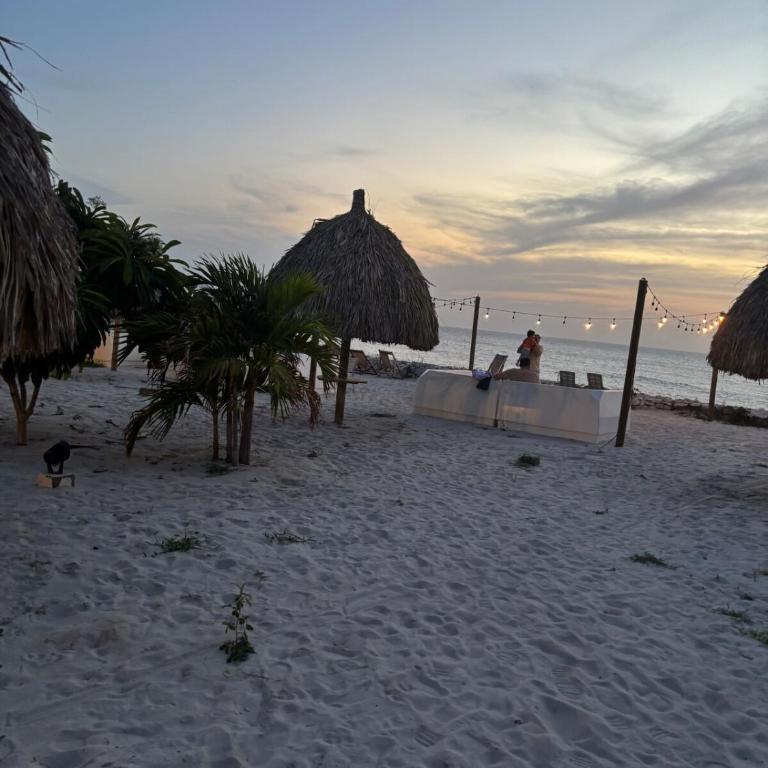 Luxury studio, playa y piscina Aluna Beach - One-Bedroom Apartment - 44
