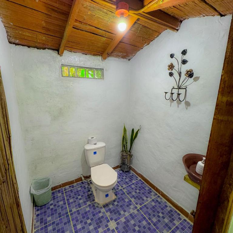 Villa Sonia Eco-Hostel - Habitación Doble - 2 camas - 19