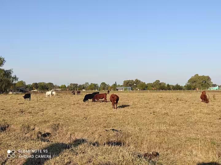 La quinta del campo - Uribelarrea - Casa de 3 dormitorios - 14