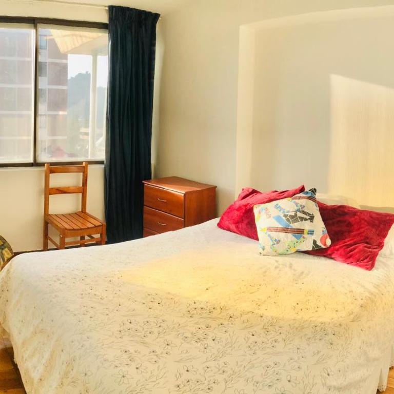 A pasos del Costanera Center, en el Corazón de Providencia - Apartamento de 2 dormitorios - 4