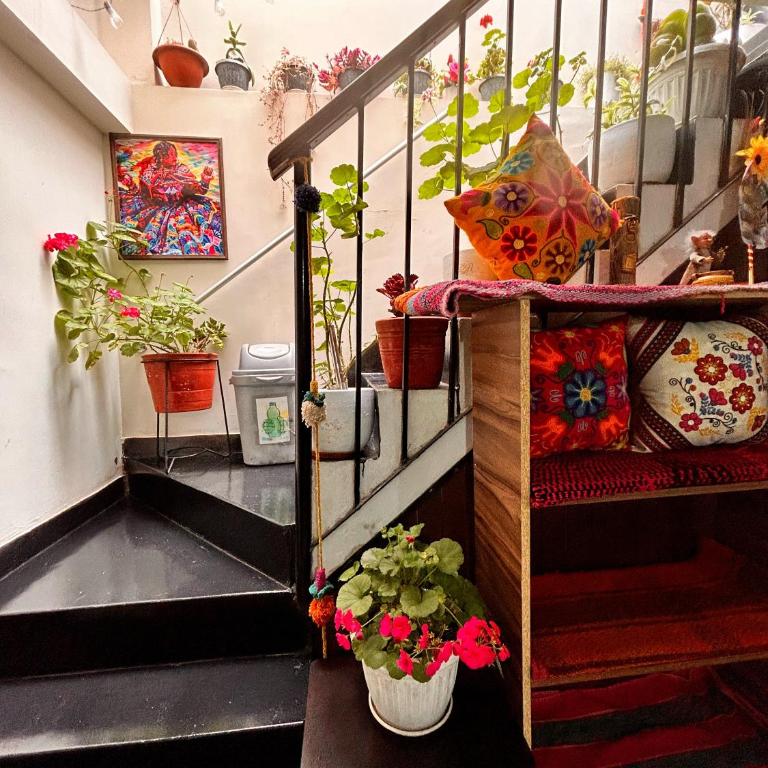 Ecoterra Andino Cusco Hostal - Classic Triple Room - 4