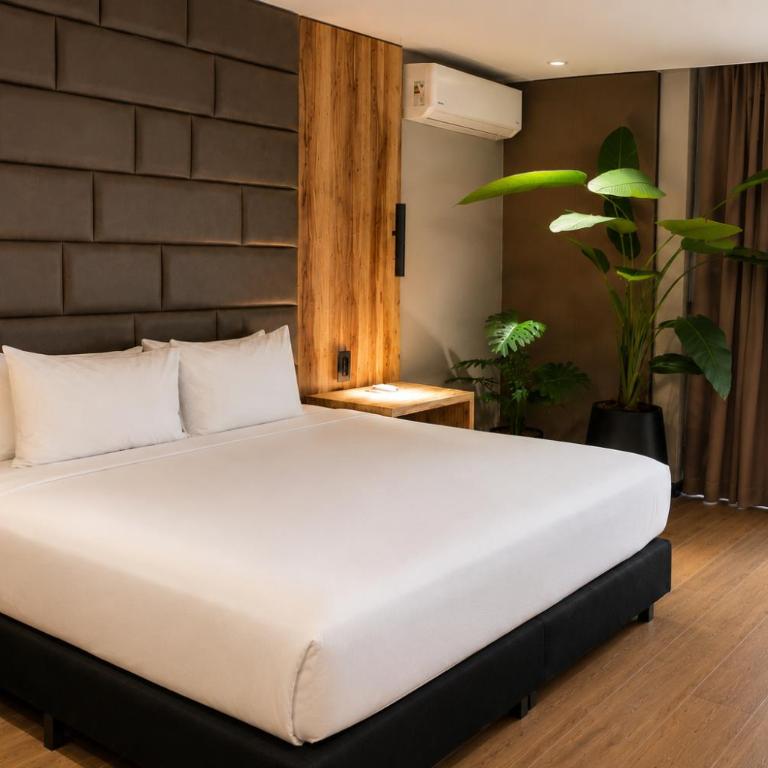 Radisson Red Funes - Suite con cama extragrande y bañera de hidromasaje - No fumadores - 3