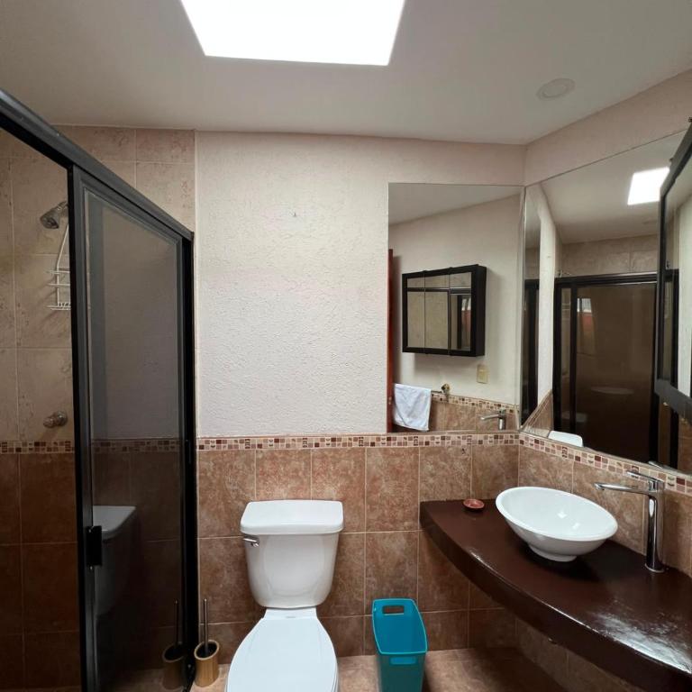 Casa Mar - Centrica - Cochera - Terraza - Casa de 4 dormitorios - 14