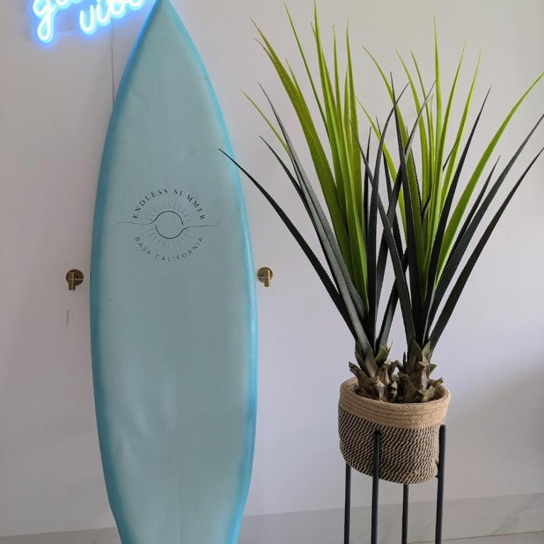 Endless Summer - Award Winning 2Bed 2Bath Condo - Heated Rooftop Pool with Ocean Views - Gym - 5min walk to Beach - Fiber Internet - Sleeps 6 - Apartamento - 17
