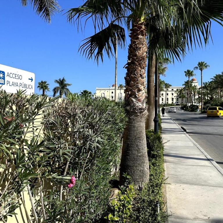Endless Summer - Award Winning 2Bed 2Bath Condo - Heated Rooftop Pool with Ocean Views - Gym - 5min walk to Beach - Fiber Internet - Sleeps 6 - Apartamento - 50