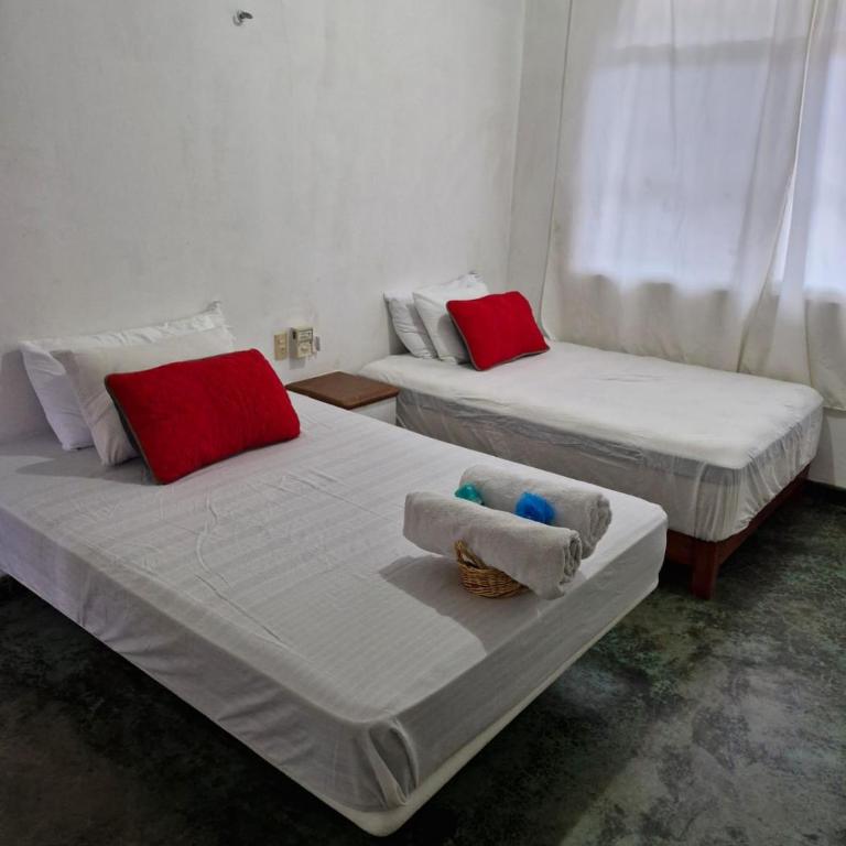 Cuarto cerca de la playa - Habitación Doble - 2 camas dobles - 1