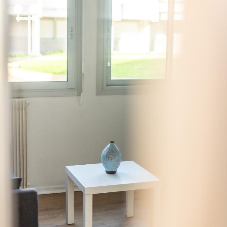 Au Cœur de Rouen - Appartement et Place de Parking - Appartement 1 Chambre - 36