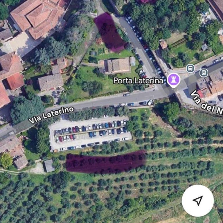 Appartamento - Paolo Mascagni-Centro Storico - Appartamento con 1 Camera da Letto - 14