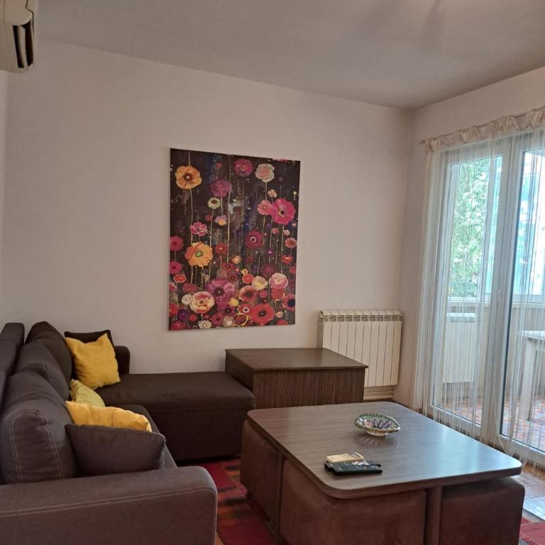 Cozy two bedroom in Belgrade - Appartement 2 Chambres - 2