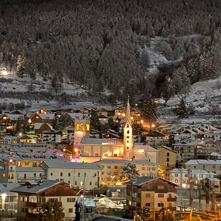 BAITA RAINOLTER Mansarda con vista panoramica su pista Stelvio a Bormio - Appartamento Standard con 2 Camere da Letto - 43