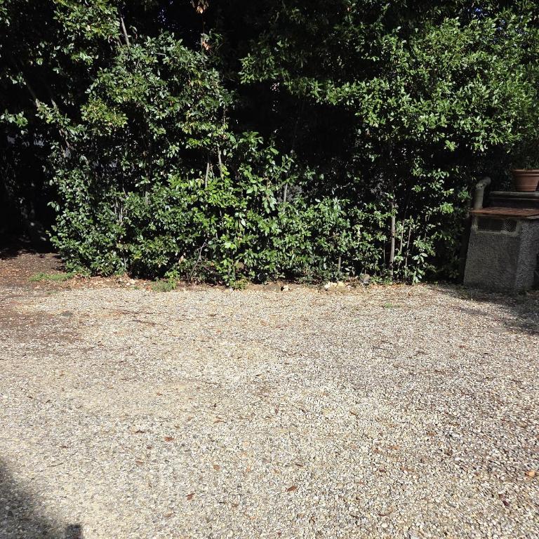 LUNA in Villa Storica - One-Bedroom Apartment - 51