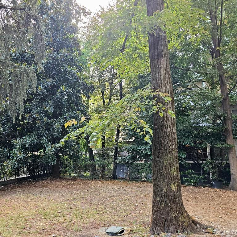 Monza Missori House, Historic Center, F1 Circuit - Appartamento con 1 Camera da Letto - 16