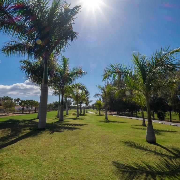 Sunny Bungalow Parque Golf - Deluxe Bungalow - 15