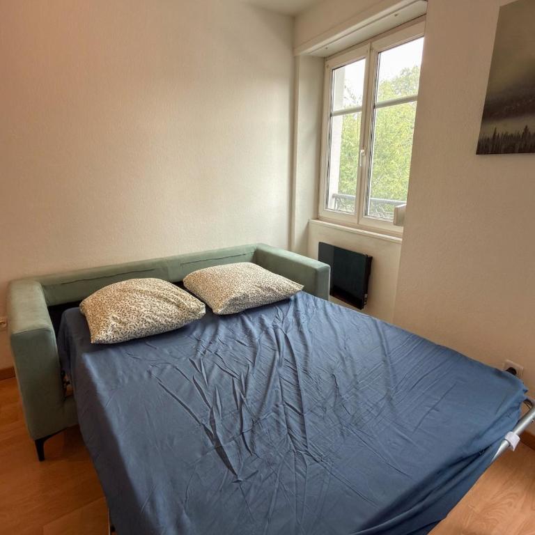 Spacious 1 bedroom apartment Close to downtown Strasbourg - Appartement 1 Chambre - 9