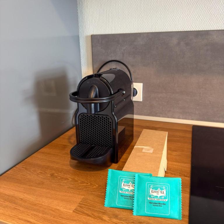 Spacious 1 bedroom apartment Close to downtown Strasbourg - Appartement 1 Chambre - 11