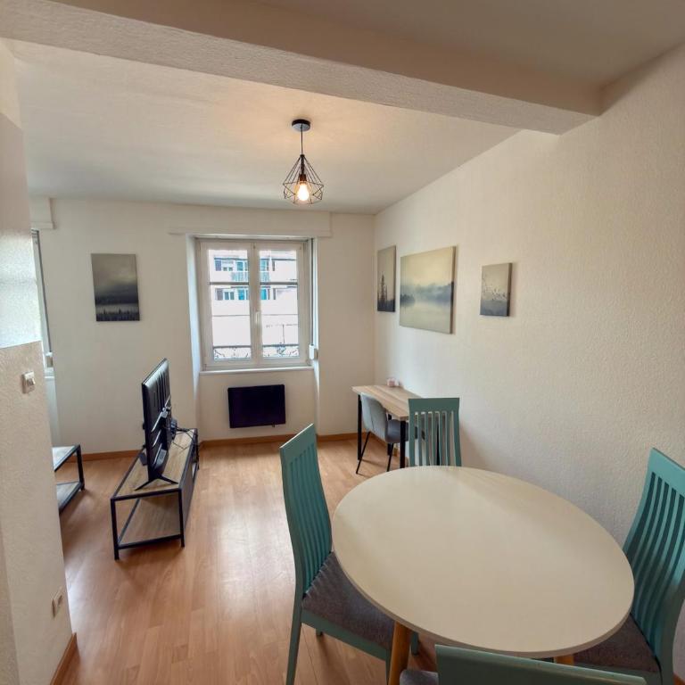 Spacious 1 bedroom apartment Close to downtown Strasbourg - Appartement 1 Chambre - 5