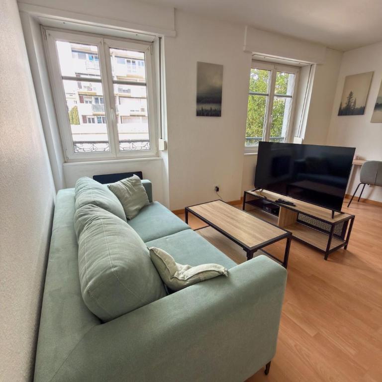 Spacious 1 bedroom apartment Close to downtown Strasbourg - Appartement 1 Chambre - 6
