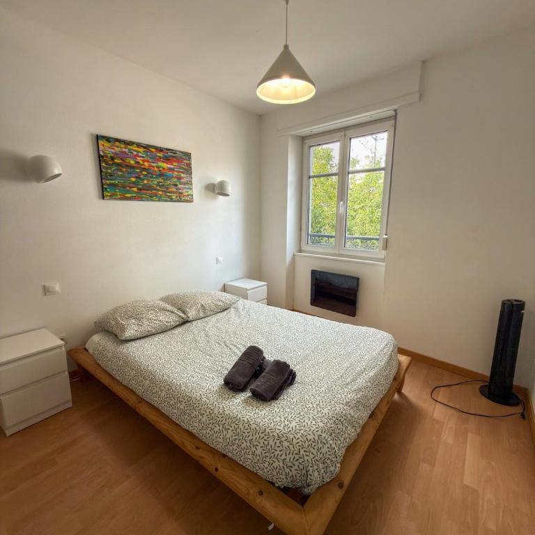 Spacious 1 bedroom apartment Close to downtown Strasbourg - Appartement 1 Chambre - 2