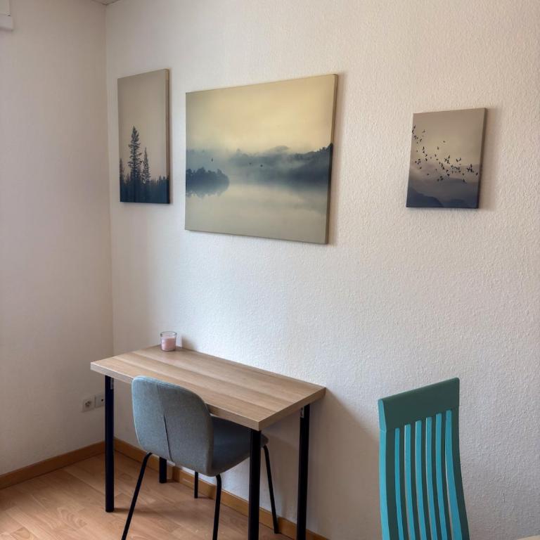 Spacious 1 bedroom apartment Close to downtown Strasbourg - Appartement 1 Chambre - 7