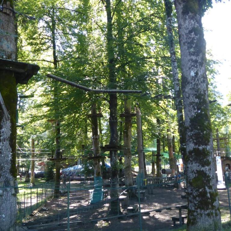 Appartement Morillon 500m ski et randonnée - Apartamento de 1 dormitorio - 25