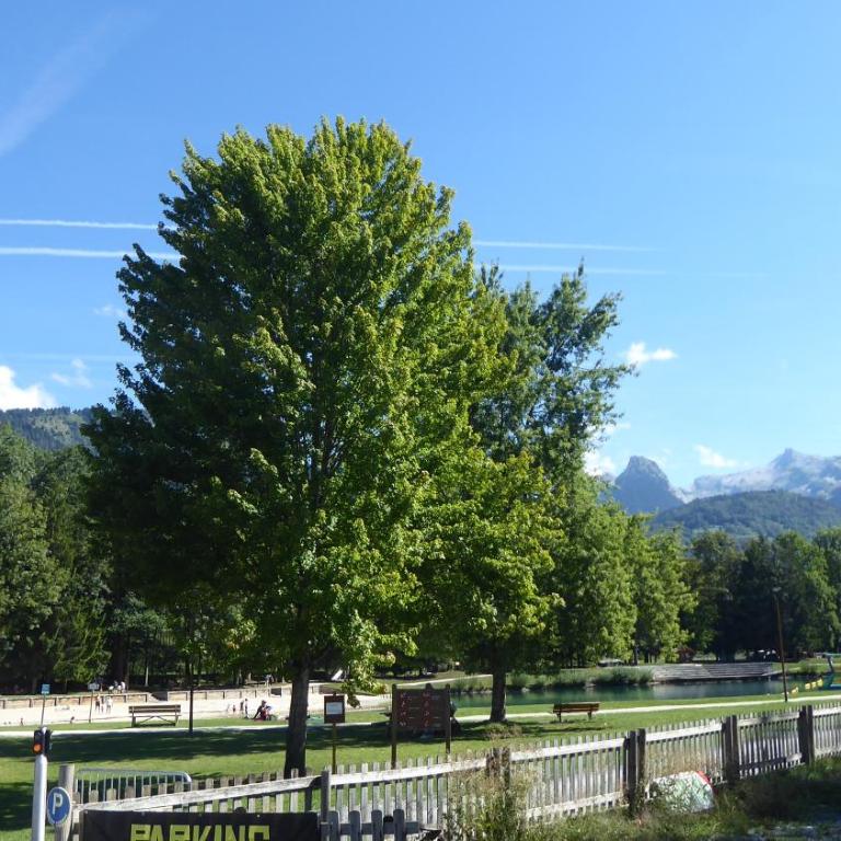 Appartement Morillon 500m ski et randonnée - Apartamento de 1 dormitorio - 21