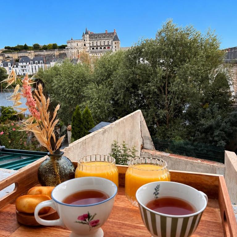 Vue château, Centre à pied, bord de Loire, Maison Commire - Appartement 1 Chambre - 2