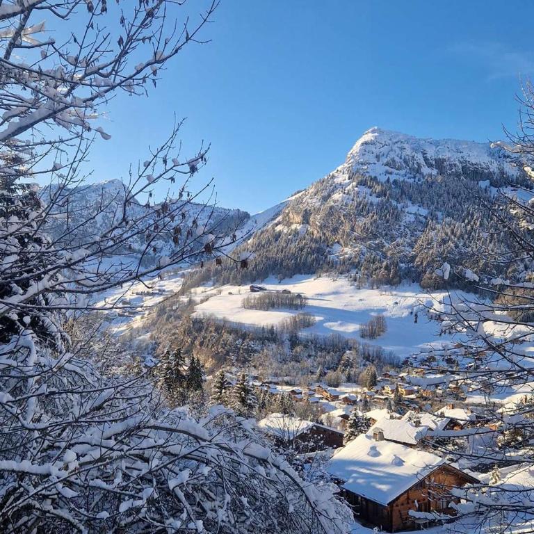 Chalet 'Améthystes', ski aux pieds au Chinaillon, pour 6 pers. - FR-1-458-266 - Chalet - 16