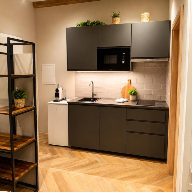 Book-A-Room Apartment Salzburg 34 - Apartment mit 1 Schlafzimmer - 2