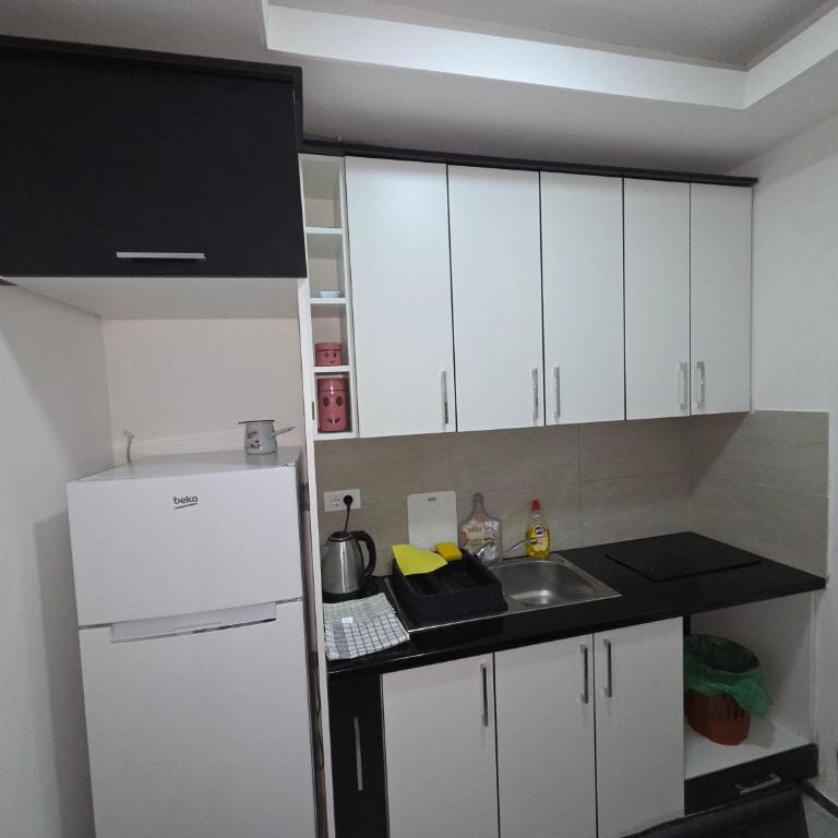 Apartmani MILIC - Apartman sa 2 Spavaće Sobe - 14