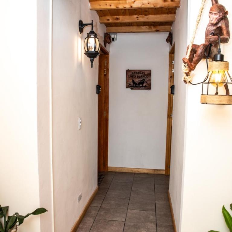 Cabañas Lobo Blanco - Apartaestudios en Laureles Medellín - Studio Apartment with Balcony - 56