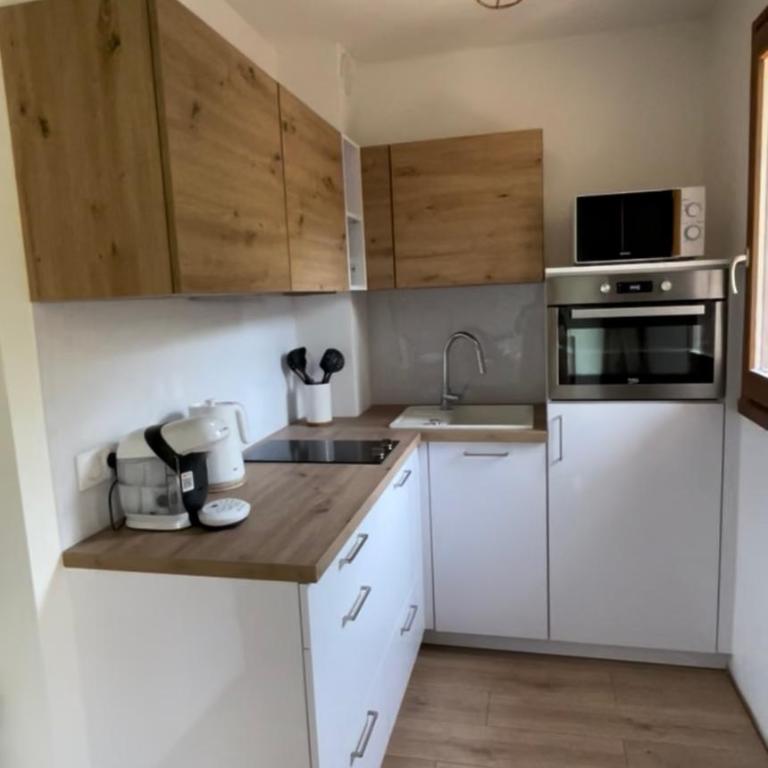 L'écrin de Luchon - One-Bedroom Apartment - 3