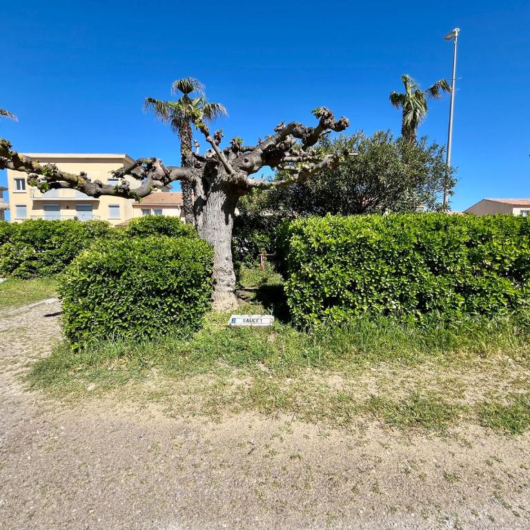 Palhawai - Sable doré et bleu infini - Appartement 2 Chambres avec Terrasse et Vue sur la Mer - 21