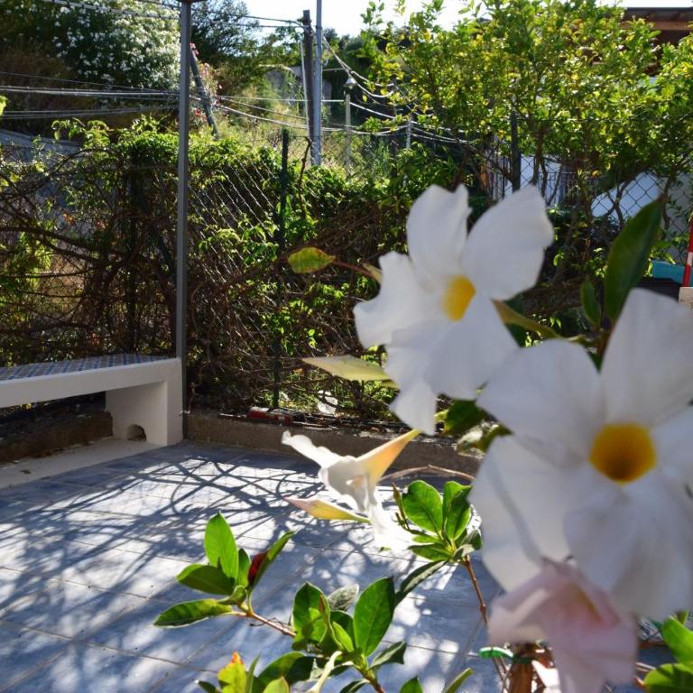 Casa Maraya - Casa con 1 Camera da Letto - 2