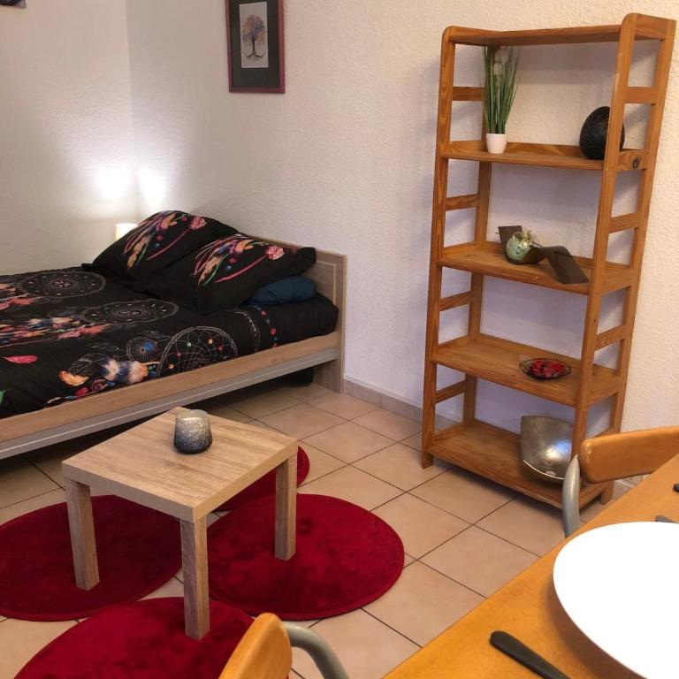 Super studio Echirolles center - Appartement 1 Chambre - 2