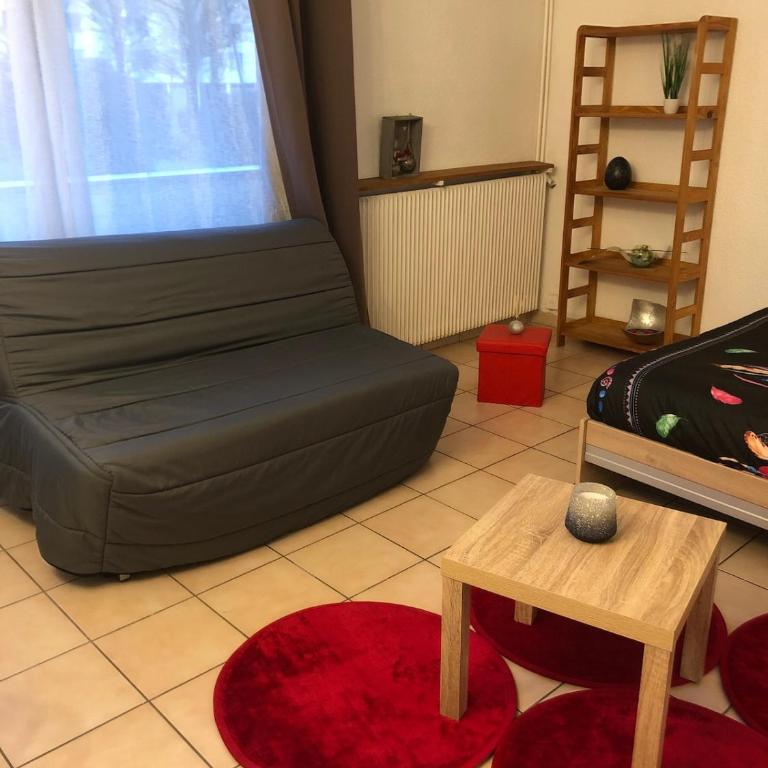 Super studio Echirolles center - Appartement 1 Chambre - 9