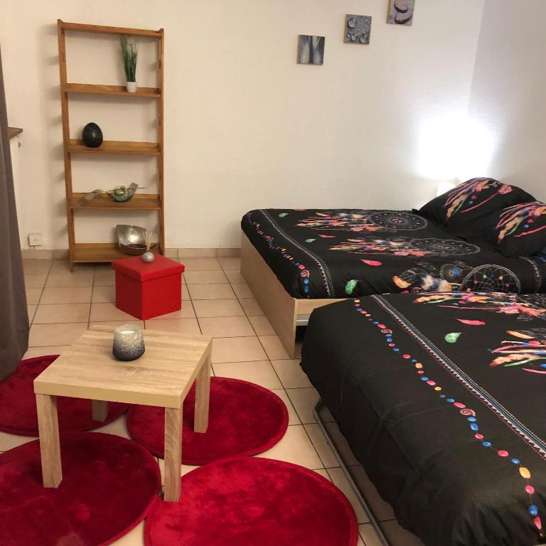 Super studio Echirolles center - Appartement 1 Chambre - 13
