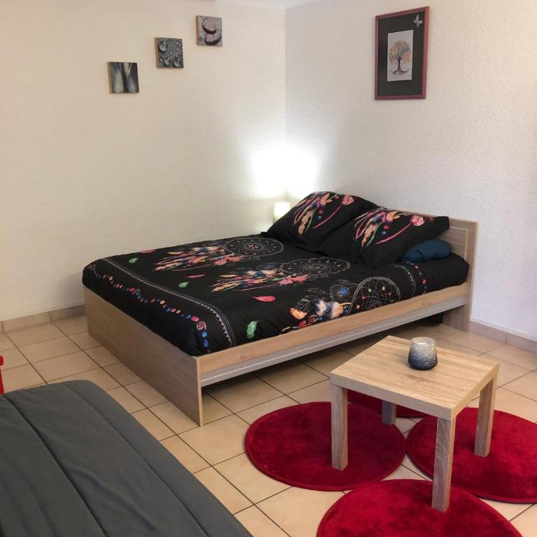 Super studio Echirolles center - Appartement 1 Chambre - 19